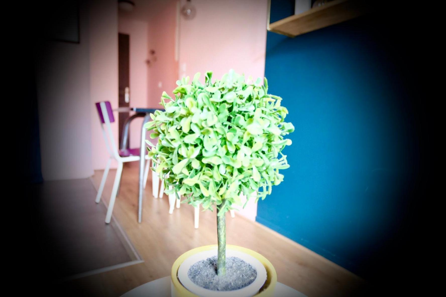 La Bonbonniere Rose Apartment Caen Bagian luar foto